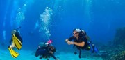 Scuba Diving