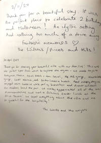 VEDERI REVIEWS 01 05 2025 16