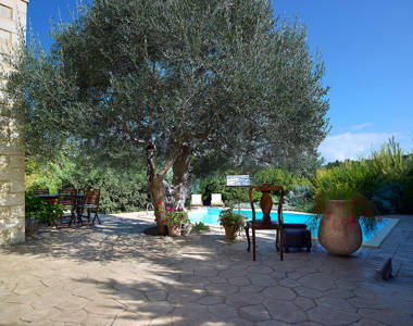 Vederi Estate Villa Kalypso terrace olive tree with the pool in the background